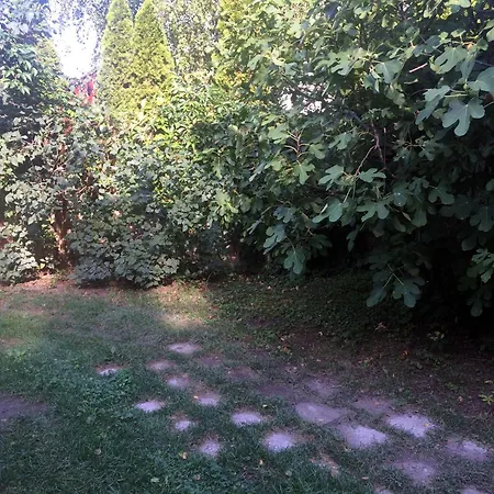 Kisfuege - Basement Pécs